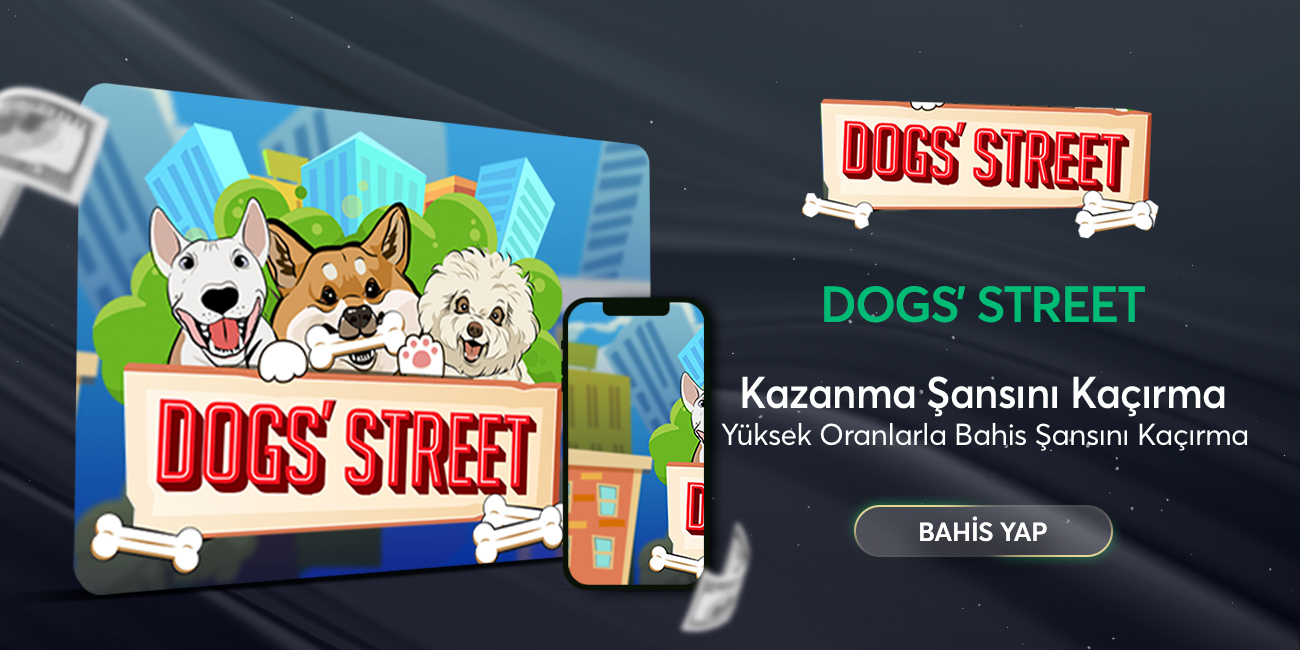 /games/turbogames/dogstreet.png